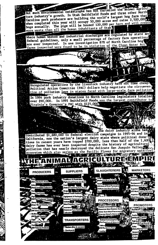 3 e  B b, 1o Utah, SnithiLeld Foods ami three other tort etina pork pooeess e buf e comphated: py 50,000 acres and raise  2 he pias will be housed 120,000 per bacd 11 Phe- human ishabitants of U  1ding the voeld’s largest hog farm RO  ,500,0  here Maman-costes and industrisl dischacss  Fedecal guidelines, only a snall peccentoge  ve evec inapected. In one investigation B7% of Nocth  e e ebed were found to be dn-violation of the Clean Kater d  Sperations b Action Comittee (PAC) dollacs help negotiate ollution Jagg dn staes faced with lacgeccal  In 199 pork industéy donations to Korth Cerolina legis] In 1995 Sithfield Foods vas the largeat  ; e aaty 3 eontributed $1,680,000 to federal election campaigns in 1995-96 and iny o oemie, nob the-nation’s Jorgest dnicy state were ol tical donar  B 11O 22020 yeace-have.topped $700,000, Lass than half of the 1. e e hms boes hoon inopacted despité the histocy of spciculticg) e e destroyed the delicare San svaquin Vaiier(@.  O A 1 ey o migeatory vatectort  { EXEMPIRE 0t  